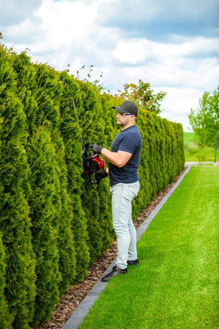 CEDRUS NZ02 SEKATOR SPRINEL SHARPS FOR CRIMINAL TREE AND TREE SHrubs SPRINEL HARVES 61cm - EWIMAX - OFFICIAL DISTRIBUTOR - AUTHORIZED DEALER CEDRUS