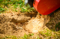 CEDRUS FR01 ROOT PLANTER TREE GRUBBER 15 KM - EWIMAX - OFFICIAL DISTRIBUTOR - AUTHORIZED CEDRUS DEALER