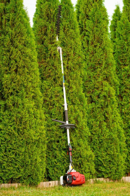 CEDRUS UW520 PETROL LAWN MOWER CHAINSAW PRUNER MULTI-PURPOSE MACHINE TRIMMER MOWER 1.8 KM 