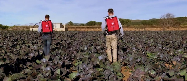 PULMIC RAPTOR 16 ADVANCED ZÁDOVÝ TLAKOVÝ RUČNÍ POSTŘIKOVAČ PÍST 16L EWIMAX - OFICIÁLNÍ DISTRIBUTOR - AUTORIZOVANÝ PRODEJCE PULMIC