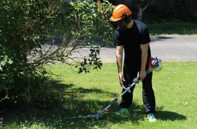 OLEO MAC BC 241 H POLE PRUNER HEDGE SHEAR BUSHES SHRUBS POWER 1.2KM PREMIUM CLASS 61379059E2 EWIMAX -OFFICIAL DISTRIBUTOR - AUTHORIZED OLEO-MAC DEALER