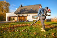 CEDRUS DM05 PRO PROFESSIONAL GARDEN LEAF BLOWER HOOVER - OFICIÁLNÍ DISTRIBUTOR - AUTORIZOVANÝ PRODEJCE CEDRUS