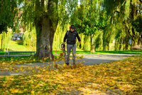 Cedrus BL210-P Dmuchawa akumulatorowa Cedrus 60V BL210-P, bez aku i ładowarki CEDBL210-P