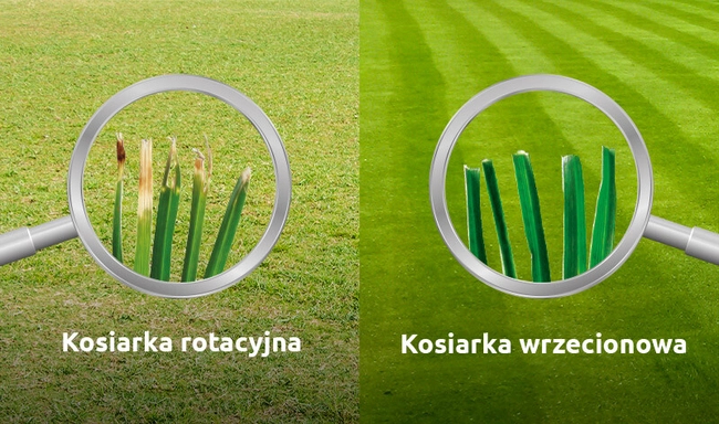 CEDRUS SM42 KOSIARKA WRZECIONOWA BĘBNOWA SPALINOWA 42 cm / 6.5 KM CEDRUS CEDSM42 - OFICJALNY DYSTRYBUTOR - AUTORYZOWANY DEALER CEDRUS