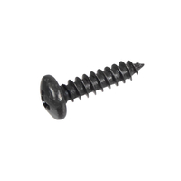 Cedrus scarifier cover screw WR01 480034