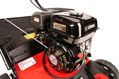 CEDRUS WR01 SPRELINER TREATER AREATOR 2-in-1 5.5 HP - EWIMAX - OFFICIAL DISTRIBUTOR - AUTHORIZED DEALER CEDRUS