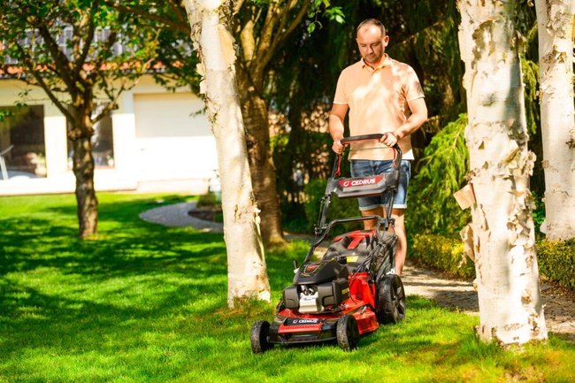 HONDA KOSIARKA SPALINOWA DO TRAWY CEDRUS KS53S-H AL ALUMIONIOWA Z NAPĘDEM HONDA GCV200 5w1 53cm / 4.1 KM - EWIMAX - OFICJALNY DYSTRYBUTOR - AUTORYZOWANY DEALER CEDRUS