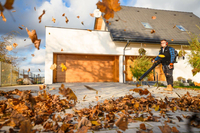 CEDRUS DM05 PRO PROFESSIONAL GARDEN LEAF BLOWER VACUUM CLEANER - OFFICIAL DISTRIBUTOR - AUTHORIZED CEDRUS DEALER