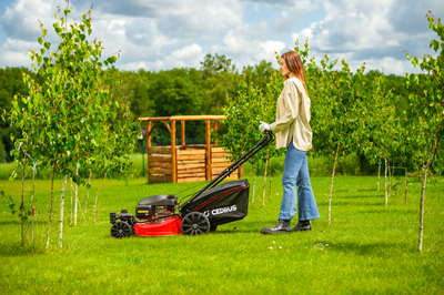 CEDRUS KS51S-H-ZT HONDA KOSIARKA SPALINOWA DO TRAWY Z NAPĘDEM 5w1 51cm / 4.6 KM HONDA GCV170 - EWIMAX - OFICJALNY DYSTRYBUTOR - AUTORYZOWANY DEALER CEDRUS