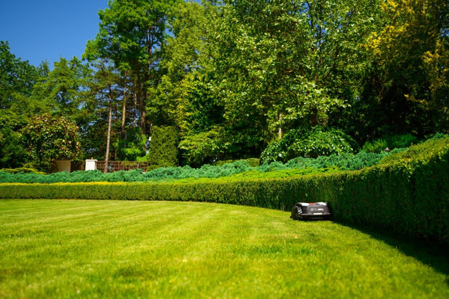 CEDRUS M12+ AUTOMATIC MOW MOWING ROBOT 1200m2 - OFFICIAL DISTRIBUTOR - AUTHORIZED DEALER CEDRUS