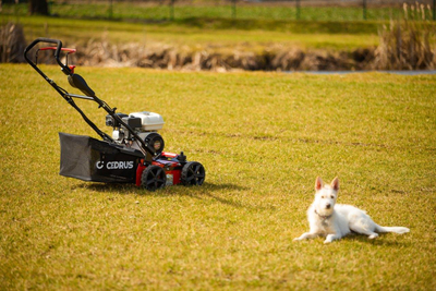 CEDRUS WR01-H SPRELINER TREE TILLER AREATOR 2-in-1 6 HP HONDA GP200 - EWIMAX - OFFICIAL DISTRIBUTOR - AUTHORIZED DEALER CEDRUS