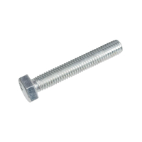 Cedrus scarifier screw CEDWE38 300593