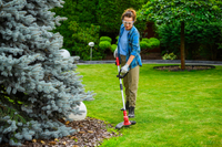 Cedrus Cordless Trimmer CEDST280LI CEDST280LI