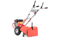 FAWORYT SHT48-200H SPRINIONAL CULTILIZER WITH DRIVE 6.5 HP 48cm