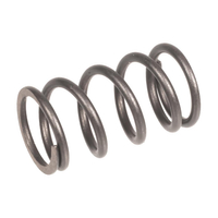 Valve spring Rato engine R80i 12103-Z800110-00A0