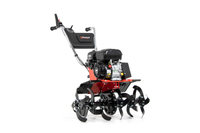 FAWORYT PRO GP950 B SPRELINER CULTILIZER BRIGGS & STRATTON 84cm 6.5KM