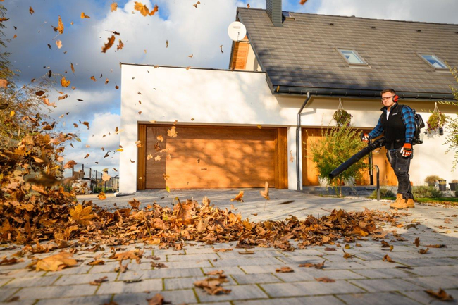 CEDRUS DM05 PRO PROFESSIONAL GARDEN LEAF BLOWER VACUUM CLEANER - OFFICIAL DISTRIBUTOR - AUTHORIZED CEDRUS DEALER