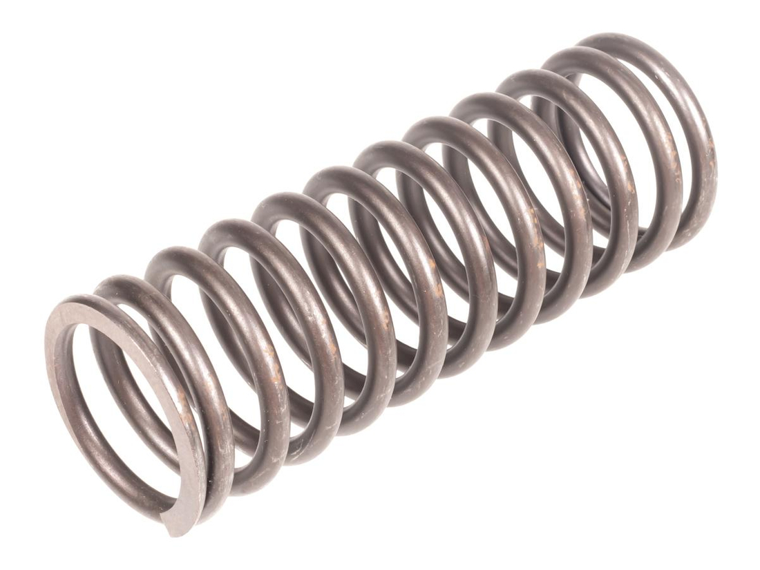 Sprężyna CEDRUS duża stopa ST01 070572 - zdjęcie produktu