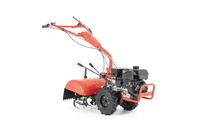 FAWORYT SPRINIONAL SOILGARDIZER WGT54-212W RUNNING CULTIVATOR 212 cm3 54cm