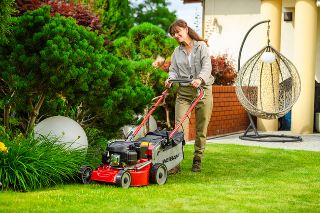 WEIBANG WB455SC 3W1 MOTORIZED VERTICAL MOWER 3.5 HP / 45cm - OFFICIAL DISTRIBUTOR - AUTHORIZED WEIBANG DEALER