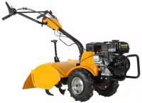 Vega VT-56 Glebogryzarka Spalinowa z napędem Loncin 6.5km VT56 - EWIMAX - OFICJALNY DYSTRYBUTOR - AUTORYZOWANY DEALER GRASS