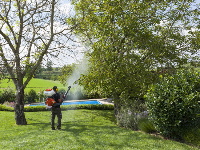 OLEO MAC MB800 BACKPACK GASOLINE TURBINE SPRAYER 14L 5KM OLEO MB 800 PREMIUM 365280020E1C OFFICIAL DISTRIBUTOR - AUTHORIZED OLEO-MAC DEALER