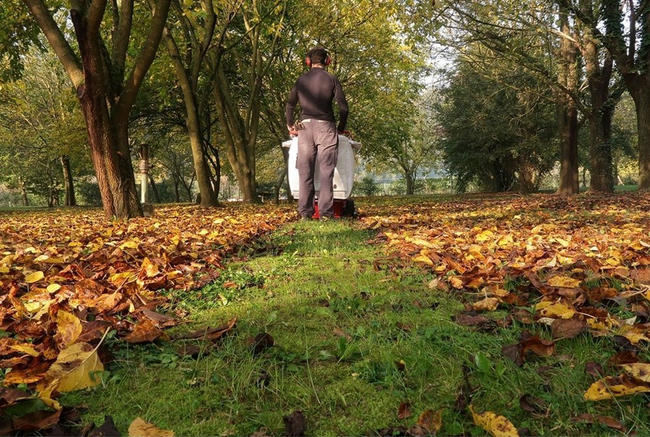 WEIBANG WBLV506C ODKURZACZ SPALINOWY DO LIŚCI OGRODOWY DMUCHAWA NA KOŁACH JEZDNY Z NAPĘDEM + RURA WBLV DO LIŚCI I ZANIECZYSZCZEŃ OGRODOWYCH PROFI PROFESJONALNY -  EWIMAX  - AUTORYZOWANY DEALER WEIBANG