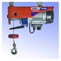 DEDRA DED7911 ELEKTRICKÝ KABELOVÝ VĚŽ 250kG EWIMAX OFICIÁLNÍ DISTRIBUTOR - AUTORIZOVANÝ PRODEJCE DEDRA
