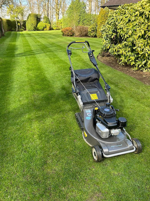 WEIBANG WB567SK V-R MOTORIZED VINE MOWER WITH DRIVE AND RECYCLING ROLL 6HP / 56cm - OFFICIAL DISTRIBUTOR - AUTHORIZED WEIBANG DEALER