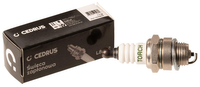 Cedrus L8RTF spark plug for chainsaws with resistor unscrewed tip 10 pieces. packaged CEDSW001