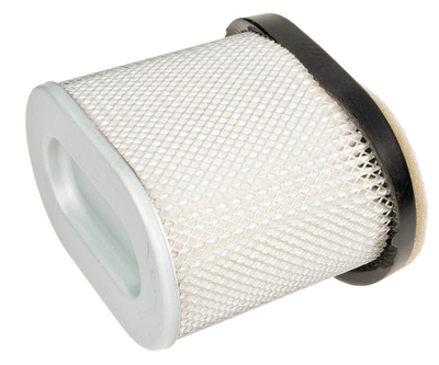 B&S Quantum new oval air filter 8R01-39