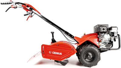 Cedrus GLX-GT65-2L Glebogryzarka Spalinowa Kultywator z Napędem Loncin 6,5KM
