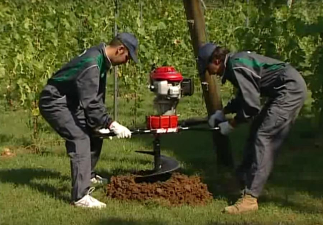 WIERTNICA SPALINOWA DWUOSOBOWA BLUEBIRD T170HO