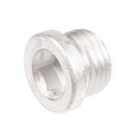 Cedrus pressure washer MC110 valve cap 560150