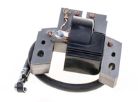 B&S Quantum Intek old type 8R26-13 ignition module