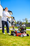 CEDRUS WR02 R DIESEL LAWN SCARIFIER AERATOR 6 KM SWING BLADES - EWIMAX - OFFICIAL DISTRIBUTOR - AUTHORIZED CEDRUS DEALER