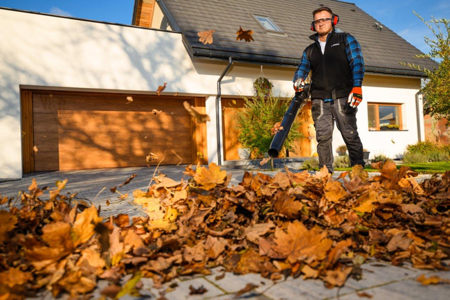 CEDRUS DM05 PRO PROFESSIONAL GARDEN LEAF BLOWER HOOVER - OFICIÁLNÍ DISTRIBUTOR - AUTORIZOVANÝ PRODEJCE CEDRUS