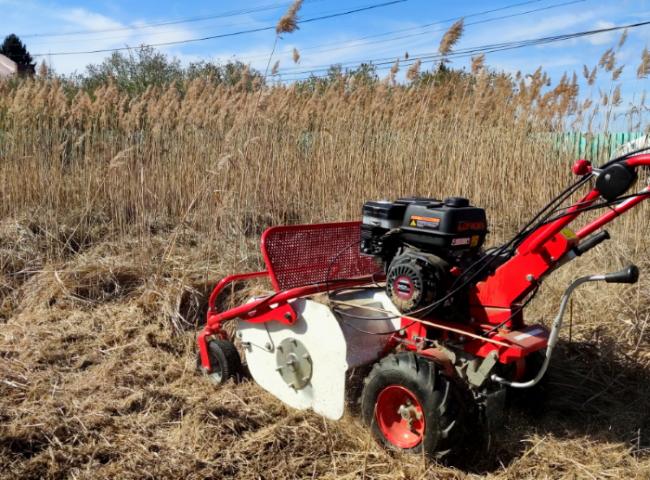 MASTERCUT SG0812A GRUBBER FLAIL LAWN MOWER FOR BRUSH GARDEN DIESEL 60CM 8KM