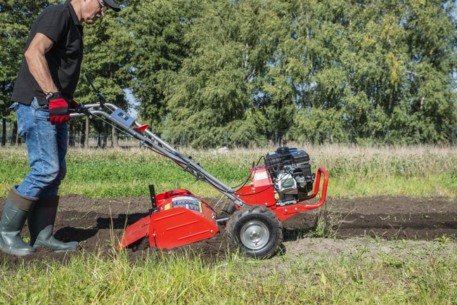 FAWORYT SHT48F-196L SPRINIONAL CULTILIZER DREAMER with 6.5HP 48cm drive