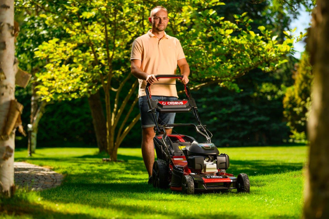 HONDA KOSIARKA SPALINOWA DO TRAWY CEDRUS KS53S-H AL ALUMIONIOWA Z NAPĘDEM HONDA GCV200 5w1 53cm / 4.1 KM - EWIMAX - OFICJALNY DYSTRYBUTOR - AUTORYZOWANY DEALER CEDRUS