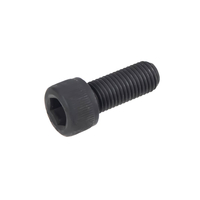 Śruba M12x25-12,9 Cedrus zagęszczarka CEDZG210HR-PRO