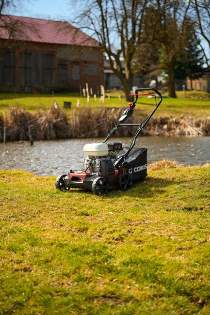 CEDRUS WR01-H WERTYKULATOR SPALINOWY DO TRAWY AREATOR 2w1 6 KM HONDA GP200 - EWIMAX - OFICJALNY DYSTRYBUTOR - AUTORYZOWANY DEALER CEDRUS