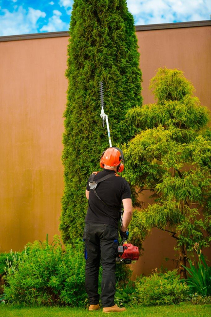 CEDRUS UW552 / UW520 KOSA SPALINOWA DO TRAWY PIŁA ŁAŃCUCHOWA SEKATOR URZĄDZENIE WIELOFUNKCYJNE PODKASZARKA WYKASZARKA 1.8 KM 