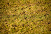 WEIBANG WB457AB AERATOR SPALINOWY DO TRAWY RURKOWY BĘBNOWY 5 KM B&S Briggs & Stratton 750 Series  WB457 / WB 457 EWIMAX - OFICJALNY DYSTRYBUTOR - AUTORYZOWANY DEALER WEIBANG