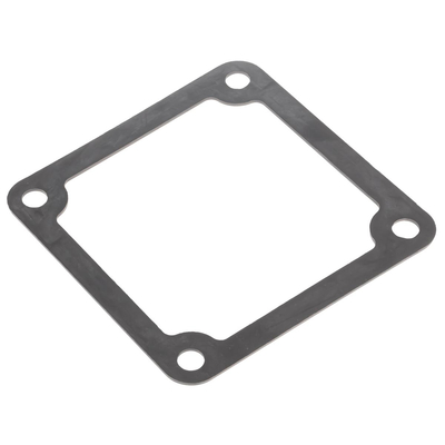 Base gasket Cedrus pump PS100-4 70109-V240110-0000