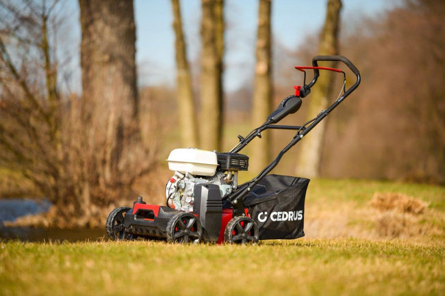 CEDRUS WR01-H WERTYKULATOR SPALINOWY DO TRAWY AREATOR 2w1 6 KM HONDA GP200 - EWIMAX - OFICJALNY DYSTRYBUTOR - AUTORYZOWANY DEALER CEDRUS