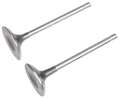 Zawór ssący/wydechowy Rato silnik R440 12110-Z710110-0099