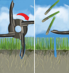 CEDRUS SP31102 GARDEN TRAKTOR PIPE AERATOR 122 cm - OFFICIAL DISTRIBUTOR - AUTHORIZED DEALER CEDRUS