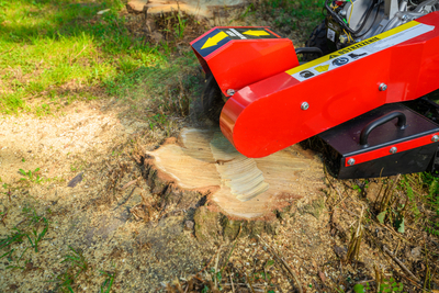 CEDRUS FR01 FREZ FREZARKA DO USUWANIA PNI KORZENI KARCZOWNIK DRZEW 15 KM - EWIMAX - OFICJALNY DYSTRYBUTOR - AUTORYZOWANY DEALER CEDRUS