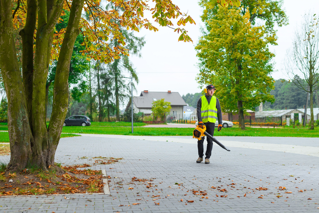 CEDRUS DM03 2-in-1 GARDEN SPRINAL VACUUM CLEANER - OFFICIAL DISTRIBUTOR - AUTHORIZED DEALER CEDRUS